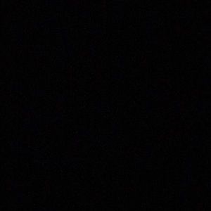 Meet your Posher, Bianca